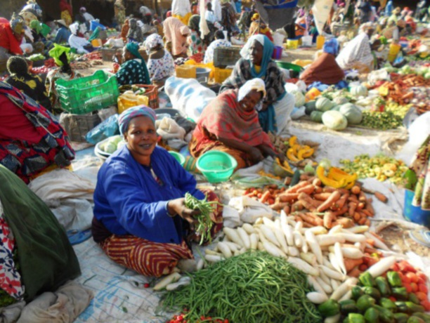 Sénégal : Hausse de 0,3% des prix à la consommation au mois d’octobre