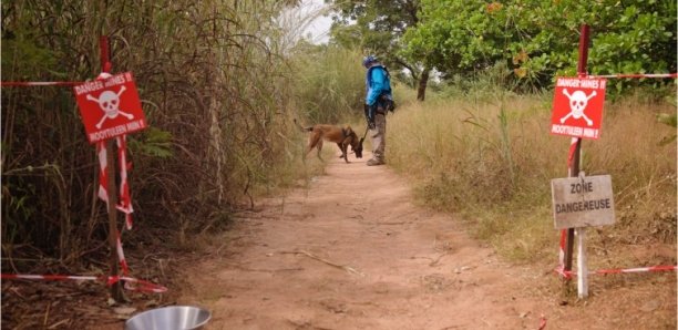 Casamance : Ce que l'on sait de la mine qui a tué 5 personnes à Kandiadiou