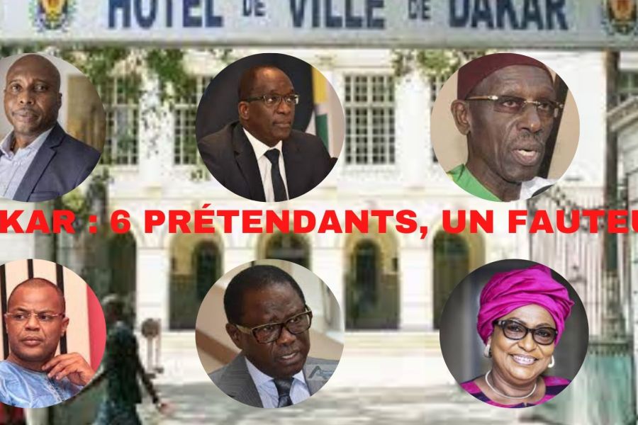 Elections territoriales de 2022 : Ville de Dakar, le challenge   de Soham Wardini