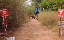 Casamance : Ce que l'on sait de la mine qui a tué 5 personnes à Kandiadiou